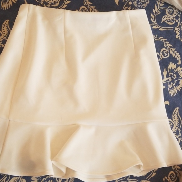 Express skirts - Picture 8 of 8